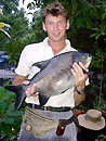 Red Bellied Pacu from Phuket.