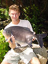 Red Bellied Pacu from Par Lai.