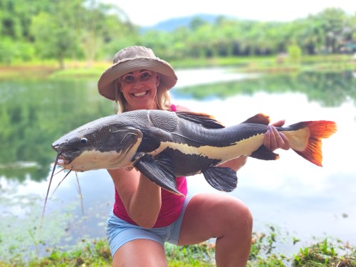 Catfish.