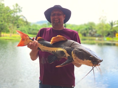 Redtail Catfish.
