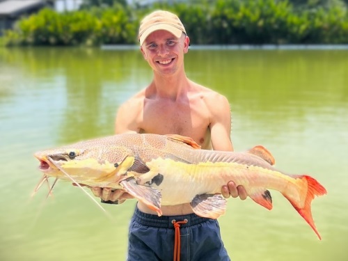 Amazon Redtail Catfish.