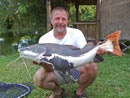 Amazonian Redtail Catfish.