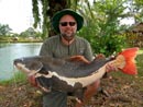 Amazonian Redtail Catfish.