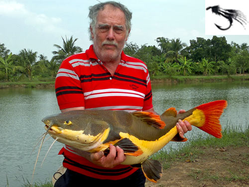 Redtail Catfish on fly from Bangkok Predator Fishing.