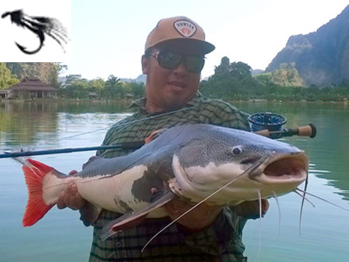 Exotic Fly Fishing Thailand - Fishing Khao Lak