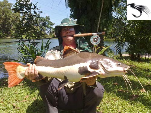 Redtail Catfish on fly from Sawai Lake in Phuket.