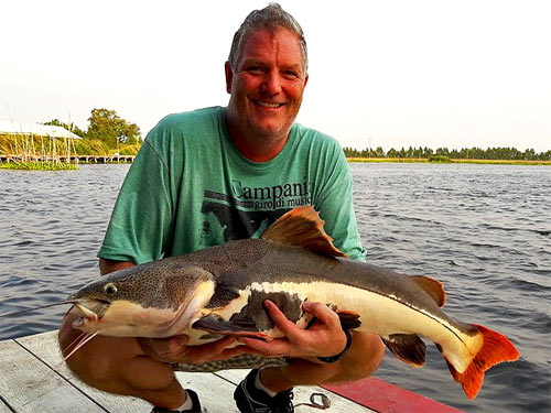 Amazon Redtail Catfish from the New Bungsamran