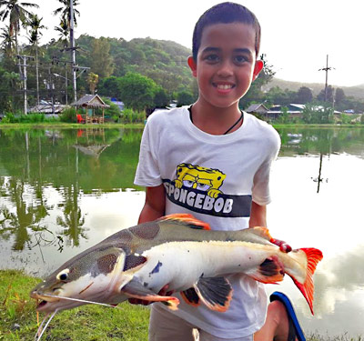 Pacu from Phuket Fishing Park 2.