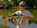 Redtail Catfish at Sawai Lake Phuket.