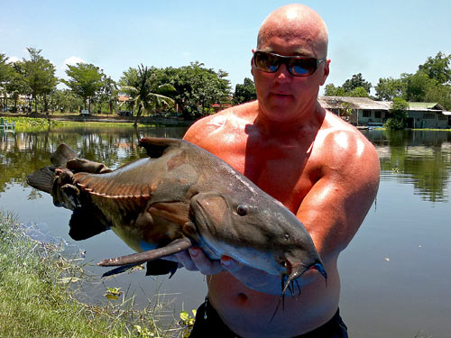 Ripsaw Catfish from Palm Tree Lagoon.