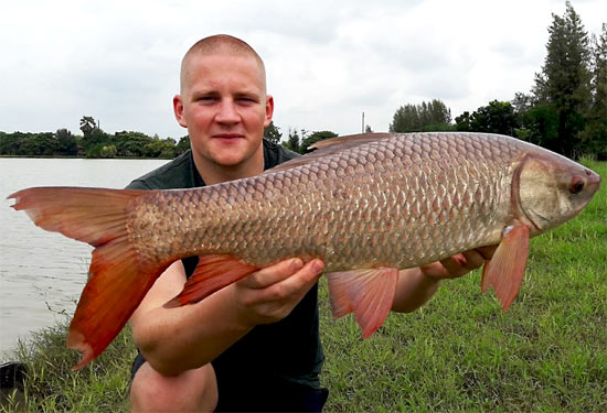 Rohu from Lake Monsters.