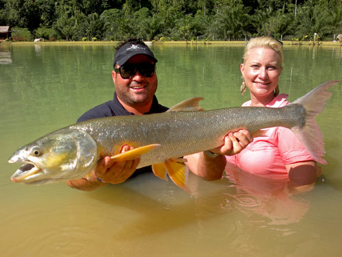 Rita Sacredotum Catfish