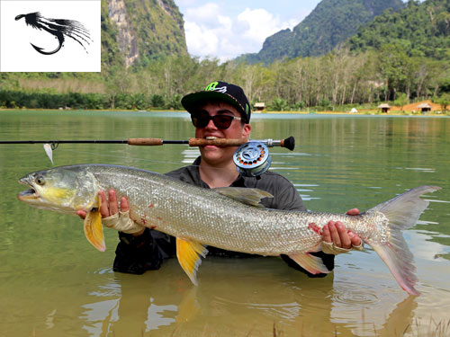 Giant Mekong Catfish