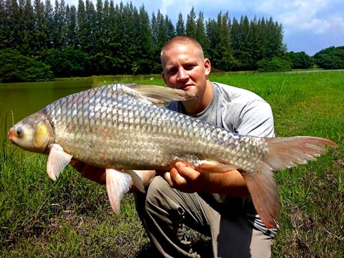 Soldier River Barb from Lake Monsters.