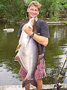 Striped Catfish from Phuket.