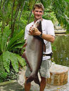 A beautiful Striped Catfish.