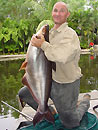 Striped Catfish from Phuket.