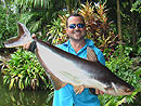 Striped Catfish from Phuket.