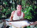 Striped Catfish from Phuket.