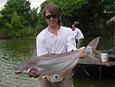 Striped Catfish from Bangkok.