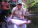 Striped Catfish from Phuket.