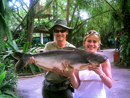 Striped Catfish from Phuket.