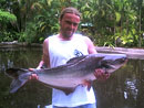 Striped Catfish from Phuket.