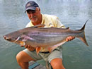 Striped Catfish from Bungsam Lan.