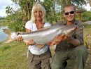 Striped Catfish.