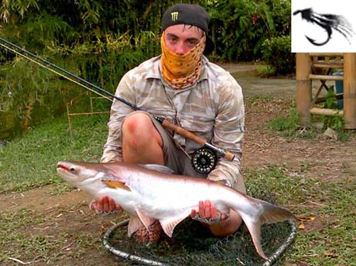 Striped Catfish on fly at Sawai Lake Phuket.