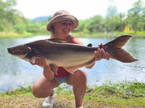 Striped Catfish.