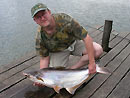 Striped Catfish from Bungsam Lan.