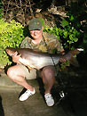 Striped Catfish from Phuket.