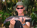 Striped Snakehead from Phuket.