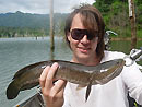 Striped Snakehead Jungle Fishing.