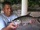 A nice Tarpon from Par Lai.