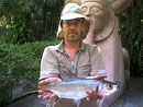 Tarpon from Par Lai Lake.