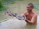 Tiger Catfish from Koh Samui.