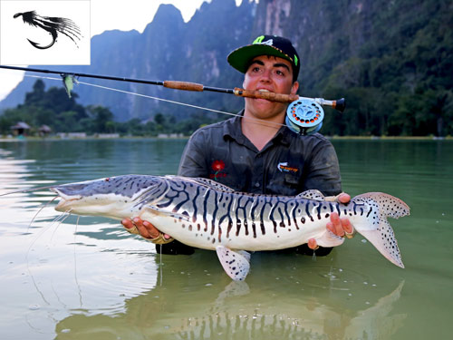 Tiger Shovelnose Catfish on fly.