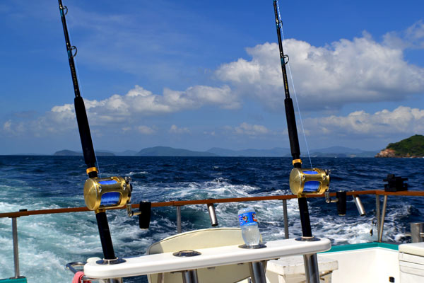 Sailfish 4 trolling.