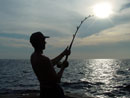 Sailfish hook-up near the Surin Islands.