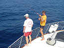 Casting to Yellowfin Tuna.