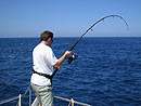 Popper casting at the Andaman Islands.