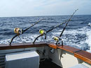 Heavy tackle at the Andaman Islands.