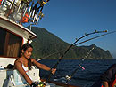 Fighting a Dogtooth Tuna at the Andamans.