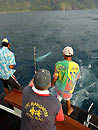 Landing a Dogtooth Tuna.