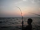 Fighting a Sailfish at sunset.