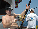 Black Marlin fight at the Andaman Islands.