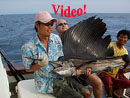 Fighting a large Sailfish at Racha!