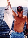 Juvenile African Pompano.